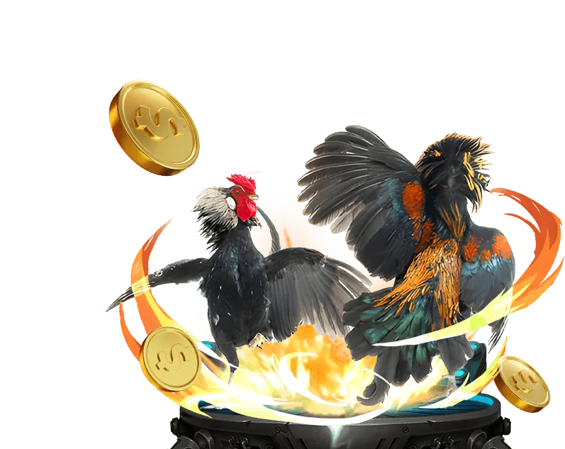 Các Chủ Đề Nổi Bật trong Diễn Đàn Rikvip